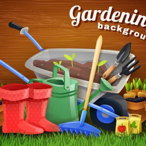 Our 7 Best Lawn Maintenance Tips For Homeowners