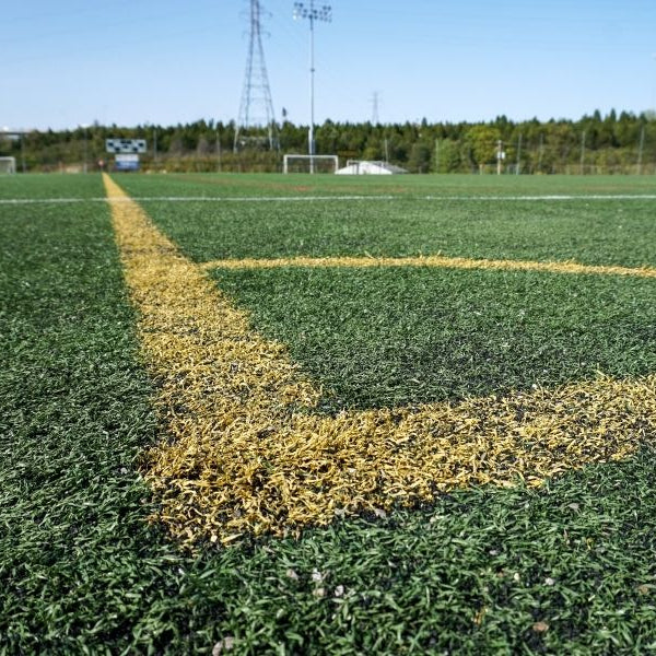 Artificial Grass: Why You Should Consider Fake Turf