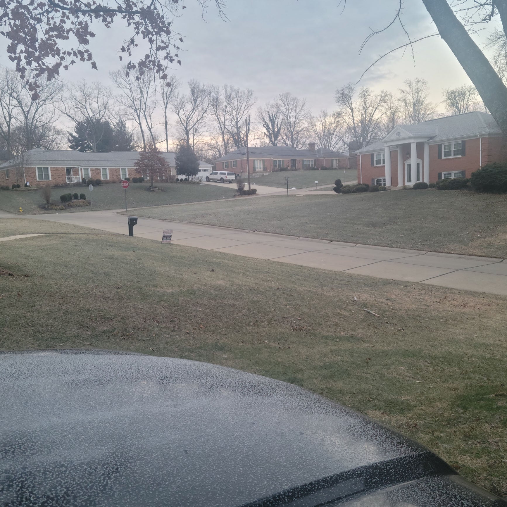 Can I mow my lawn with frost on the grass?