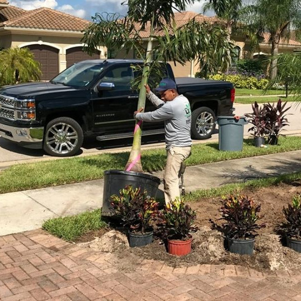 Providing Lawn Services in Fort Myers