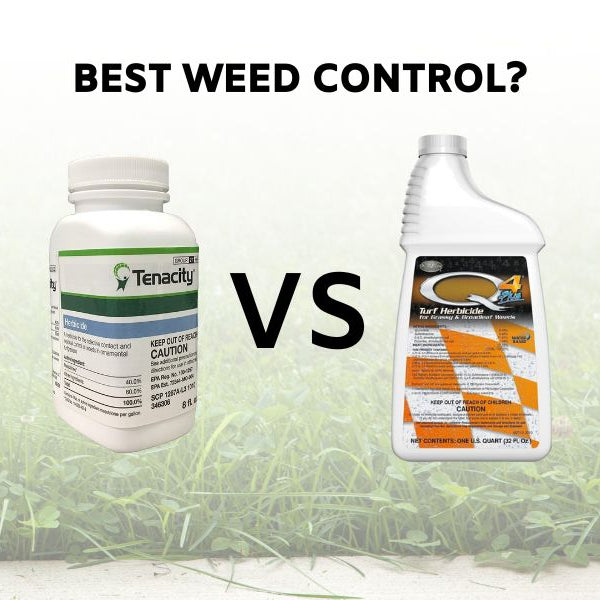 What is the best weed control product? Tenacity Herbicide vs Q4 Plus Turf Herbicide
