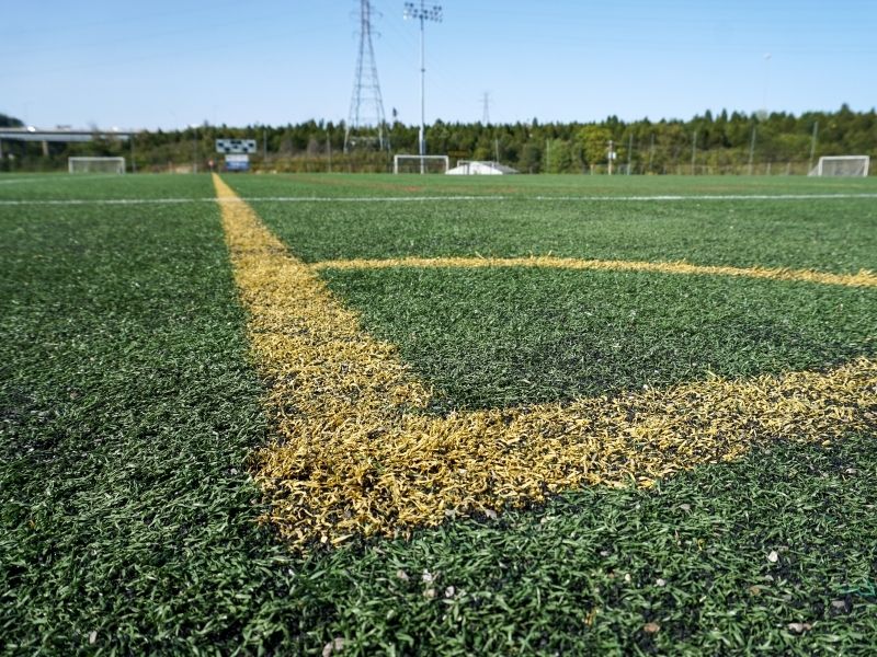 Artificial Grass: Why You Should Consider Fake Turf