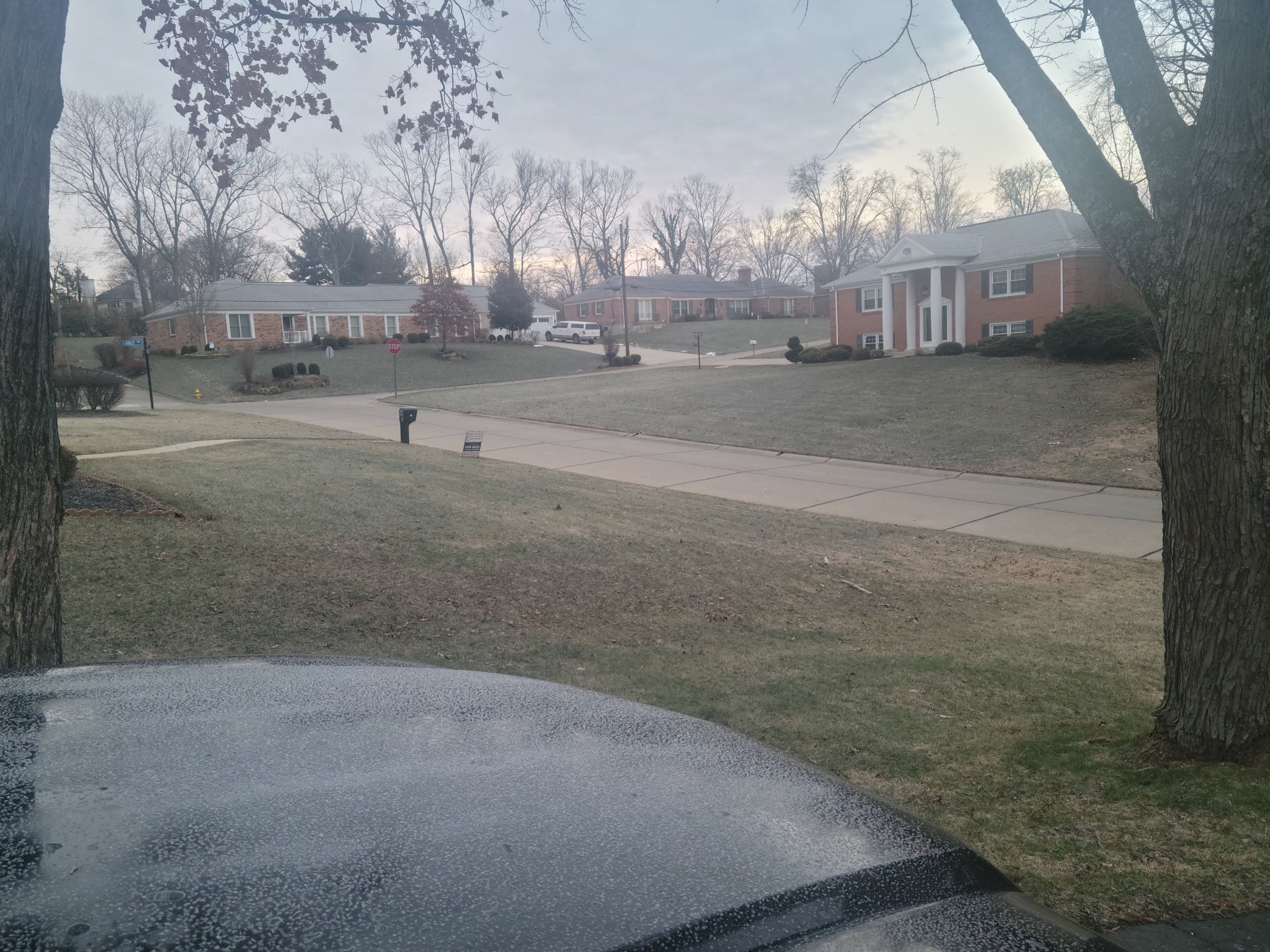 Can I mow my lawn with frost on the grass?