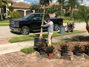 Providing Lawn Services in Fort Myers