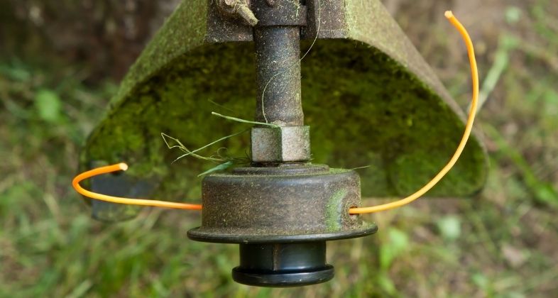 Weed Eater String: 3 Common Problems & How To Solve Each