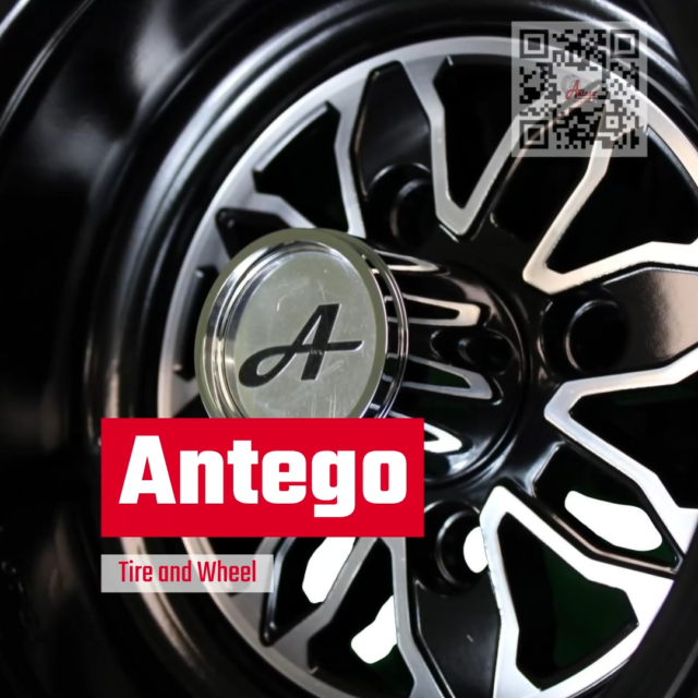 Wheels & Tires (Antego Tire & Wheel)