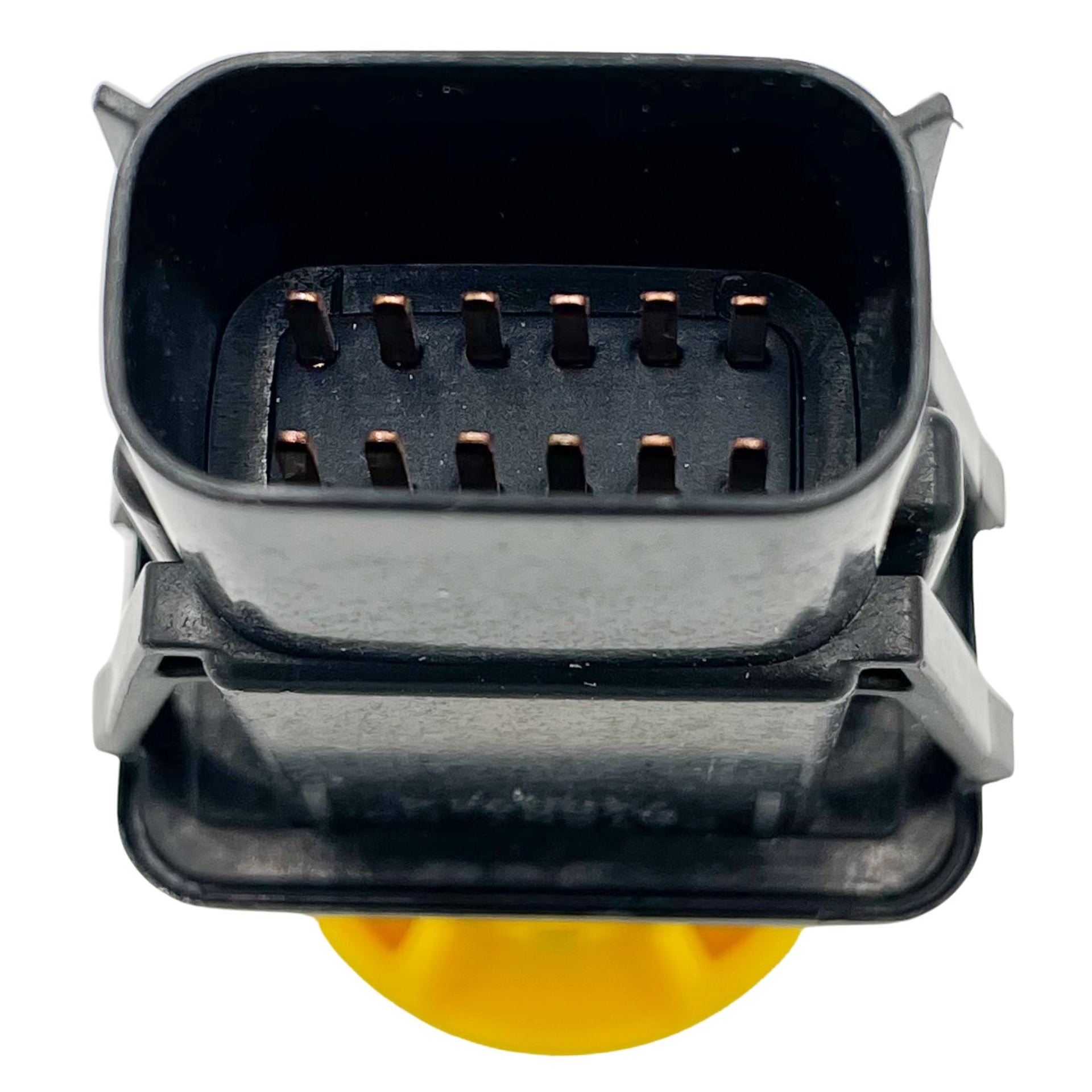 Miei T　1210 Scag485833andScag483957SealedP